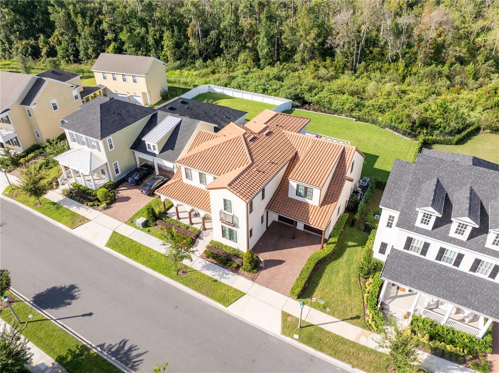 CELEBRATION ISLAND VILLAGE - Residential
