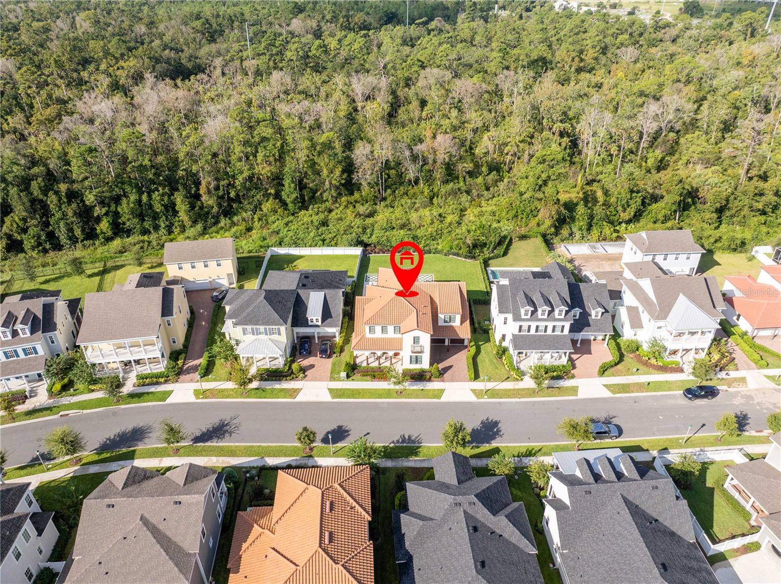 CELEBRATION ISLAND VILLAGE - Residential