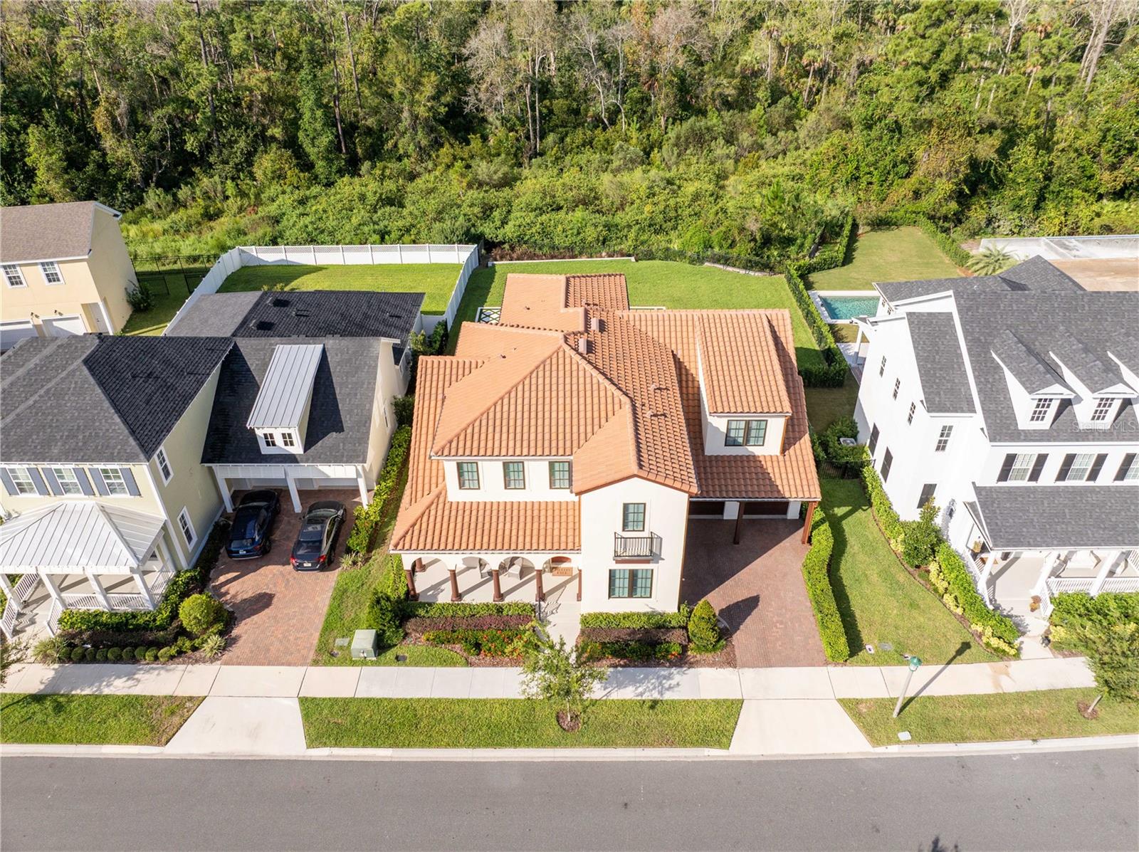 CELEBRATION ISLAND VILLAGE - Residential