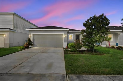 10359 HAWKS LANDING DRIVE LAND O LAKES FL 34638