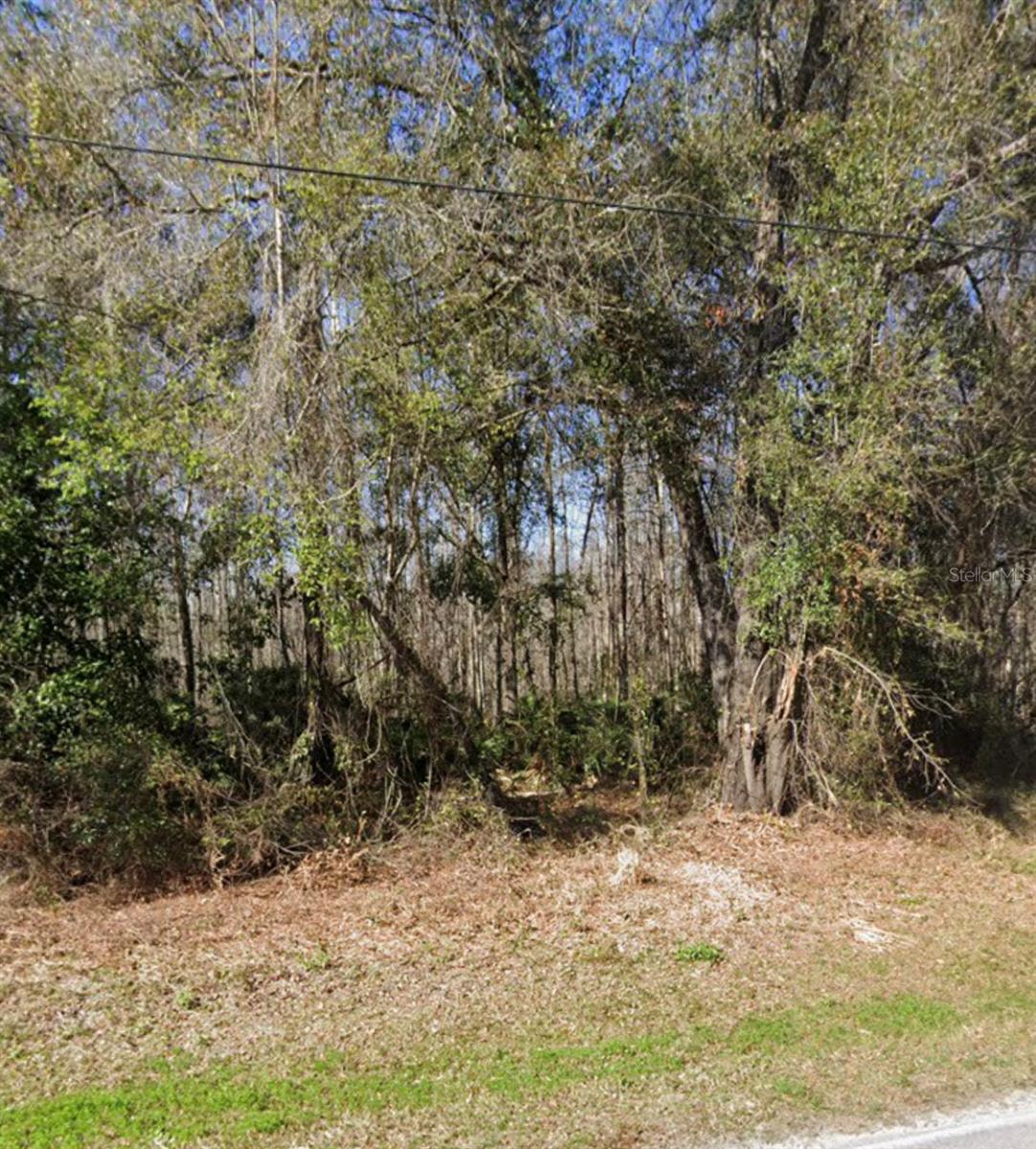 MOON LAKE ESTATES - Land