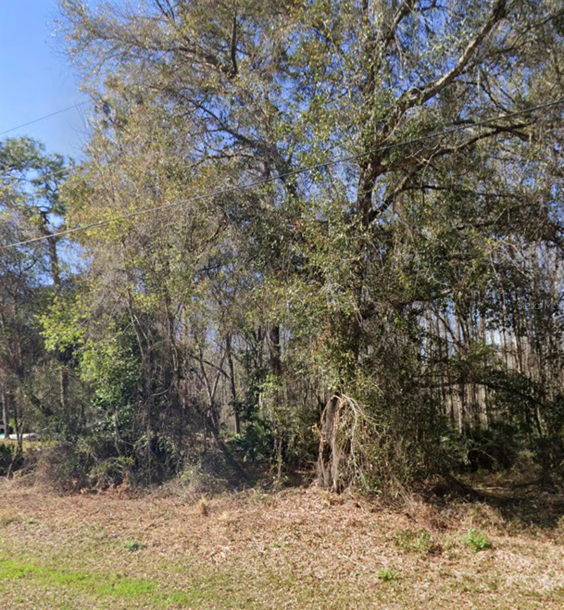 MOON LAKE ESTATES - Land