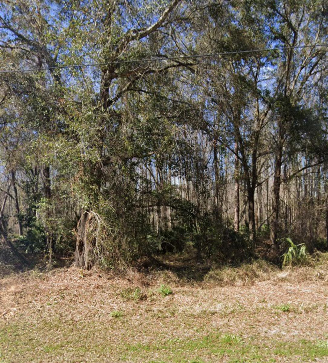 MOON LAKE ESTATES - Land