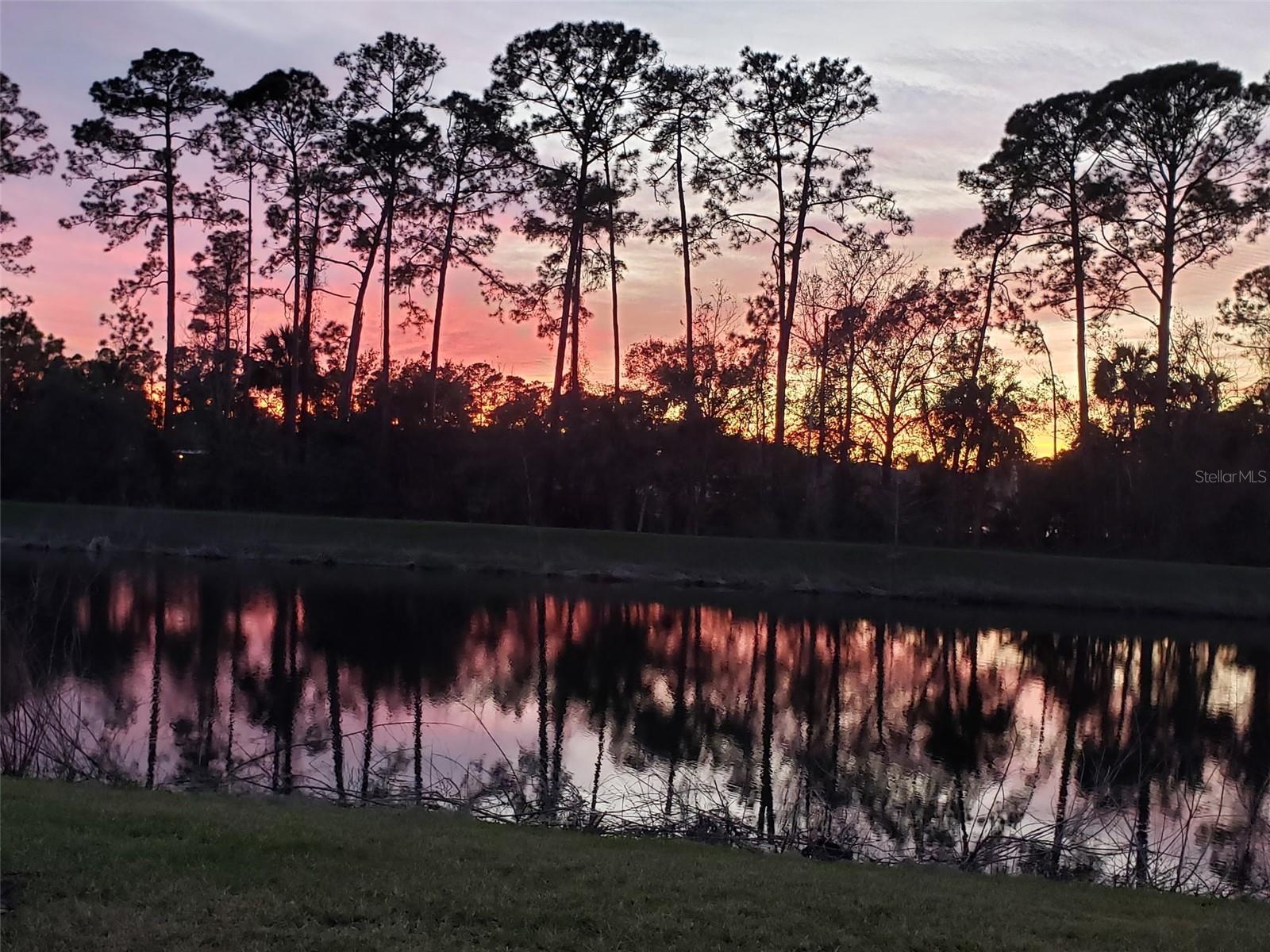 BELLA OAKS - Residential