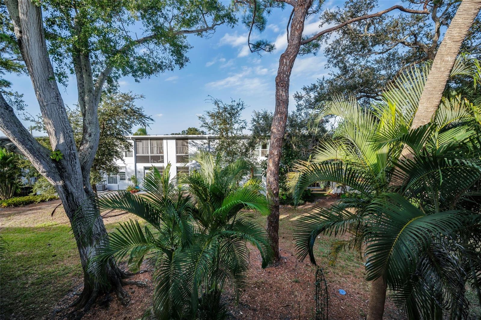 CLEARVIEW OAKS PARADISE - Residential