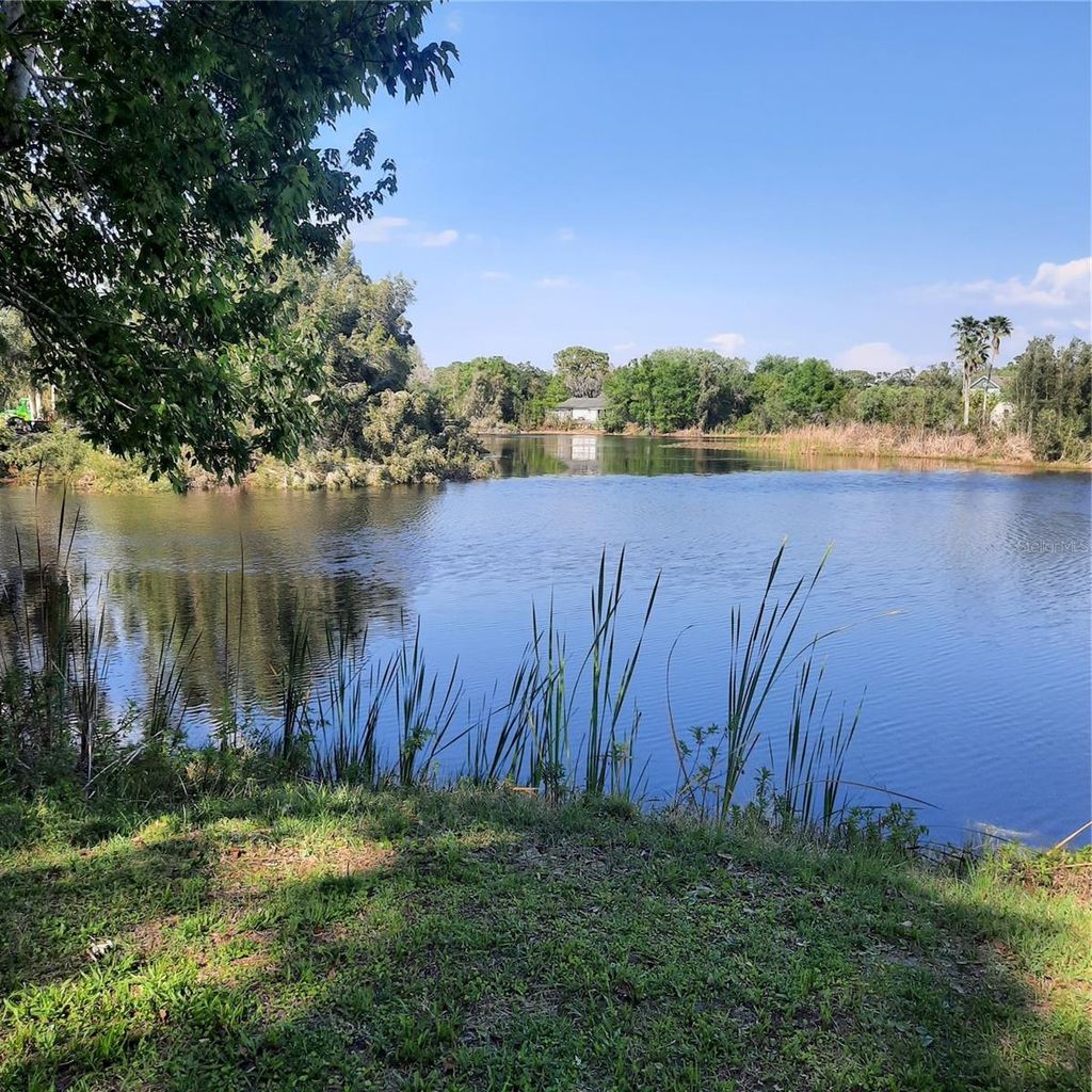 Photo of 10502 Hinds Place, Odessa, FL 33556 (MLS # TB8491771)