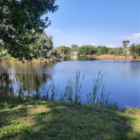 10502 HINDS PLACE ODESSA FL 33556