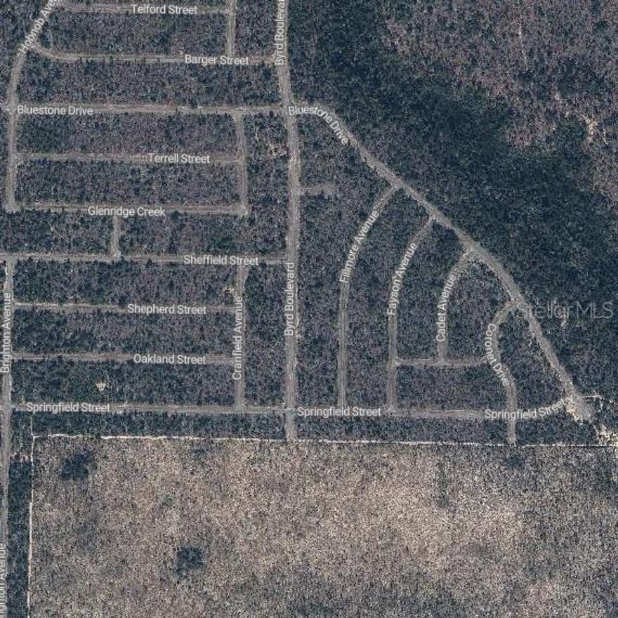 Well-located vacant lot in the desirable 32428 area of Chipley/Sunny Hills, FL. Situated in a quiet and growing community with convenient access to local amenities and major roads. This property represents an excellent investment opportunity at an attractive price, ideal for building a future home or holding for appreciation. A great chance to own land in an area with strong growth potential.