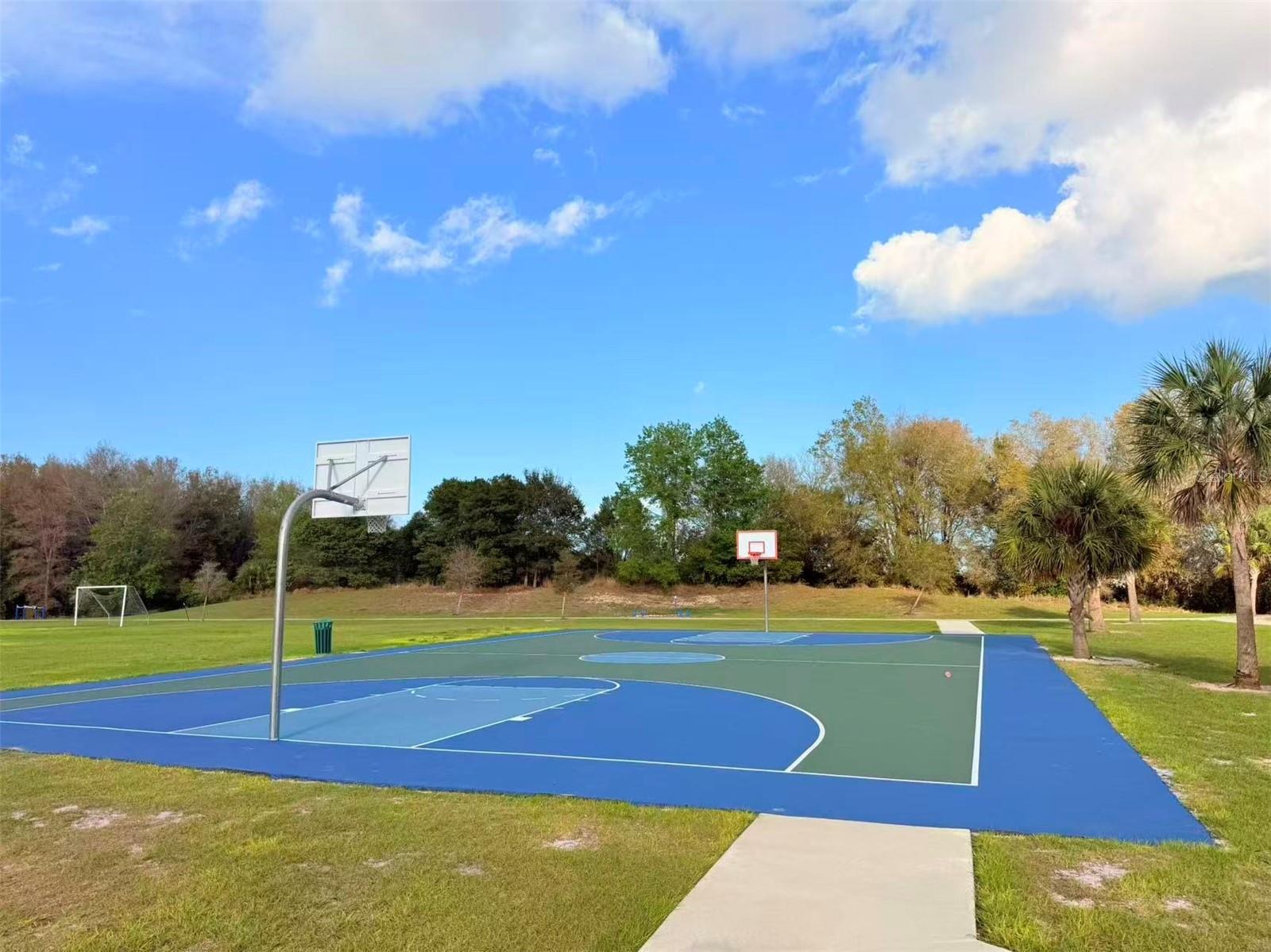 SUMMERVIEW AT WOLF CREEK RIDGE 2B-3 - Residential