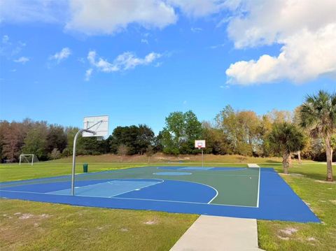 Tiny photo for 3048 Bethpage Loop, Mount Dora, FL 32757 (MLS # G5109256)