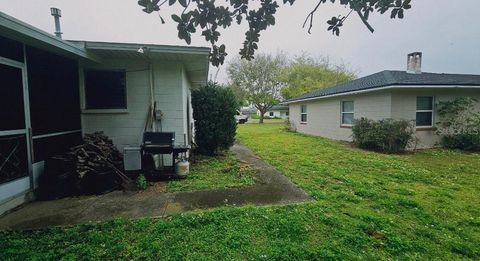 A home in MOUNT DORA