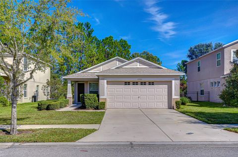 Photo of 4246 Warwick Hills Drive, Wesley Chapel, FL 33543 (MLS # TB8447581)