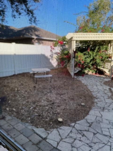 BUCKHORN PRESERVE PH 2 - Residential