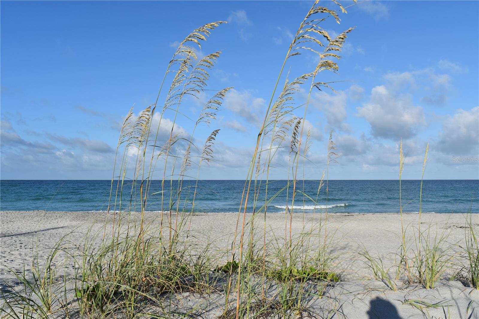 MANASOTA GARDENS 1ST ADD - Land
