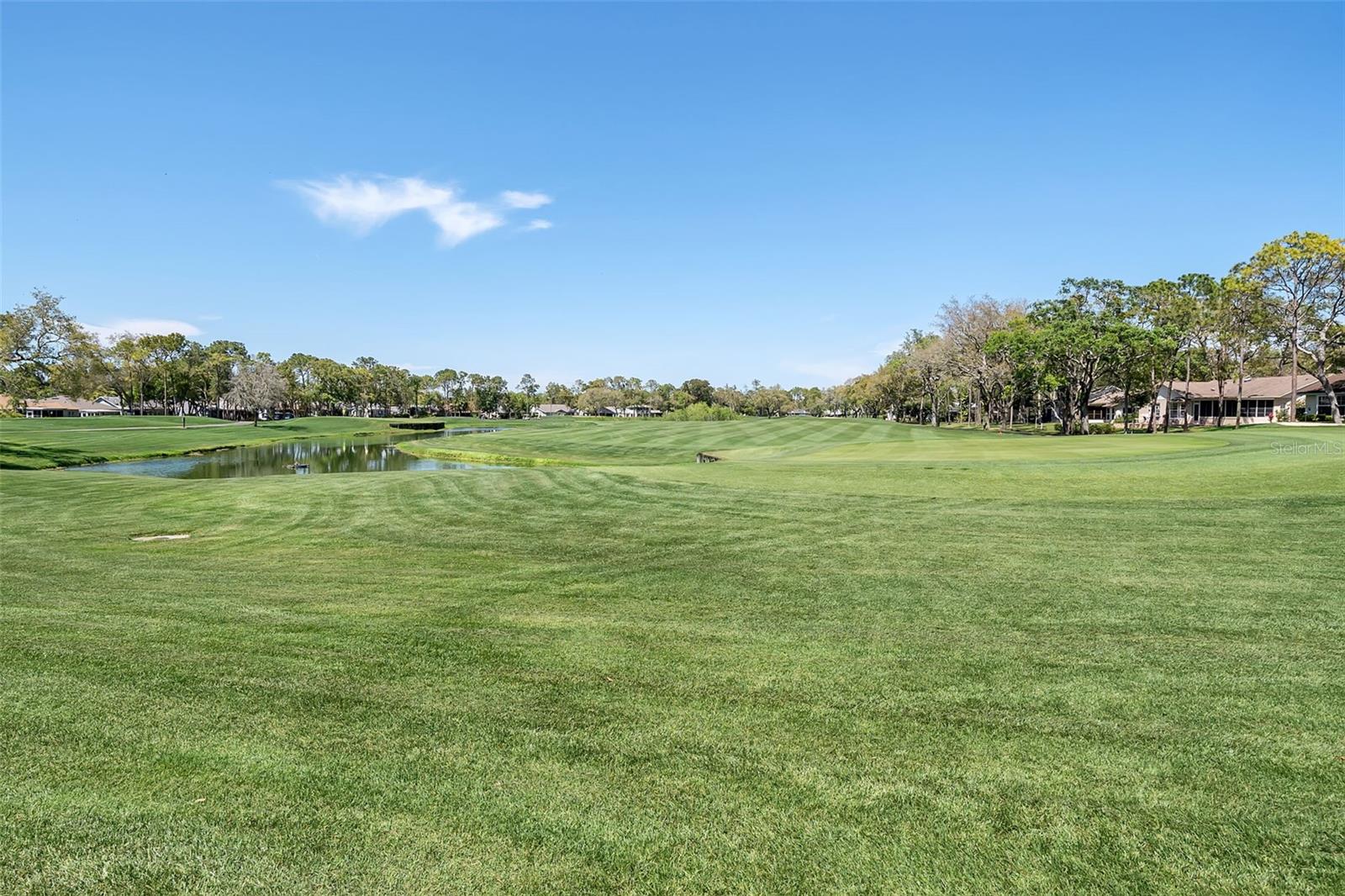 TIMBER PINES - Residential