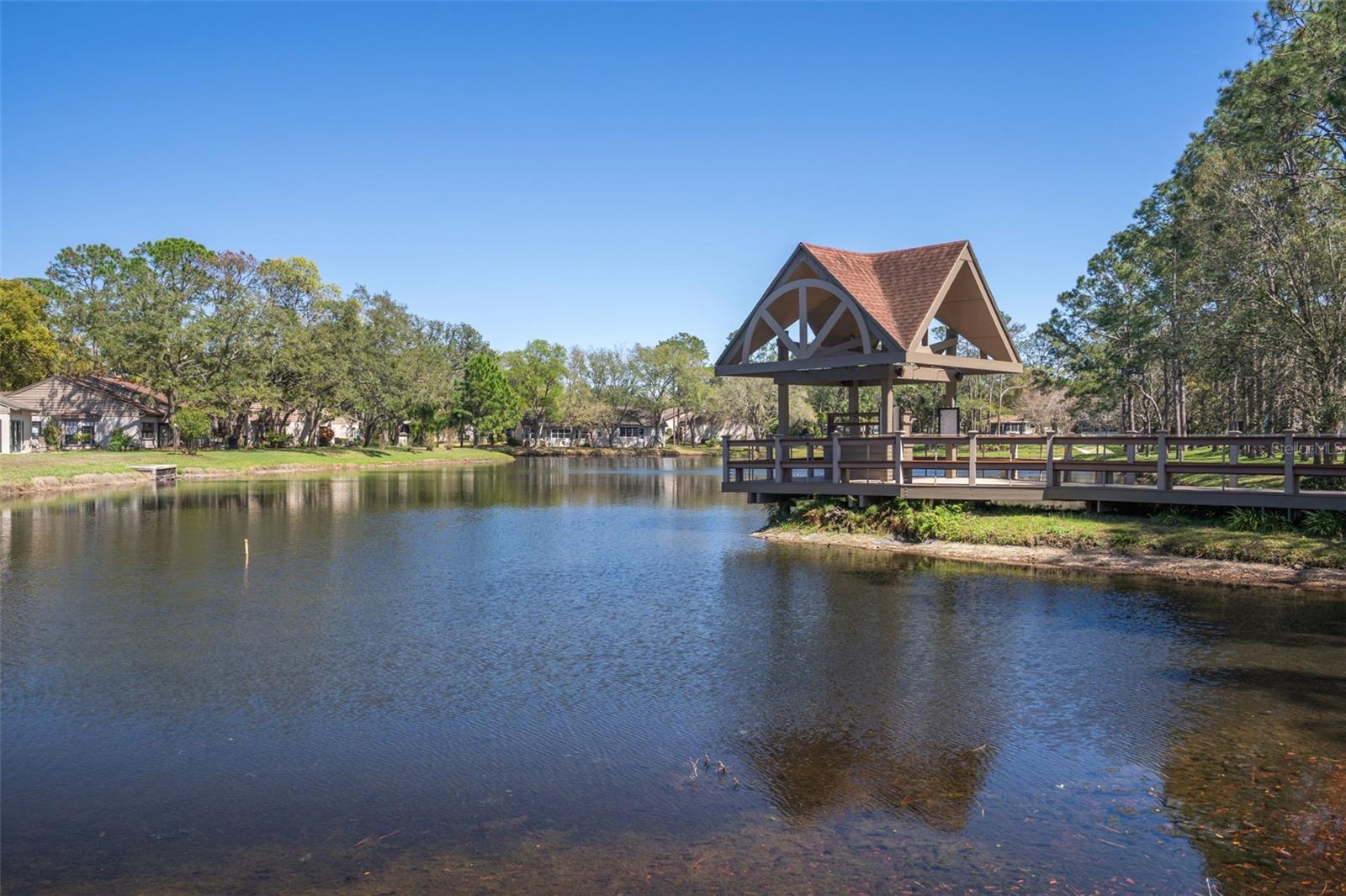 TIMBER PINES - Residential