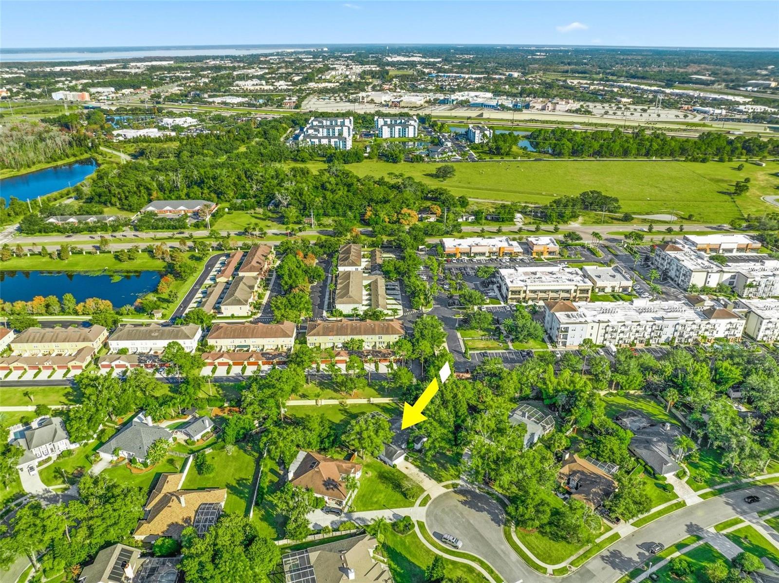 TALL TREES - Residential