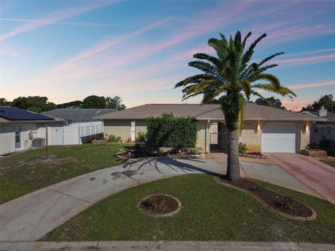 A home in PORT RICHEY