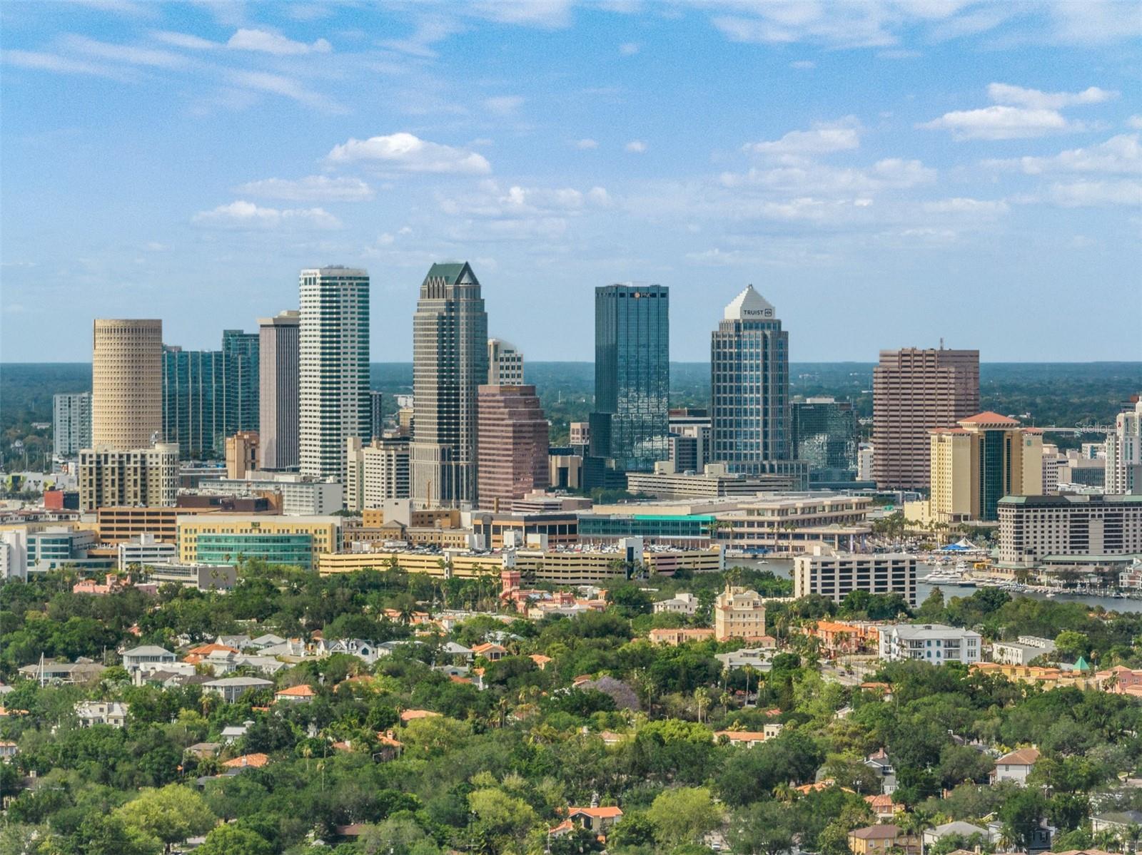 DAVIS ISLANDS - Residential