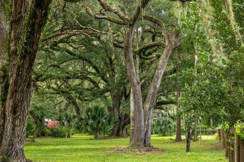 Tiny photo for 9797 Cr 674, Bushnell, FL 33513 (MLS # TB8545252)