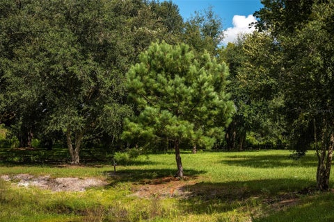 Tiny photo for 9797 Cr 674, Bushnell, FL 33513 (MLS # TB8545252)