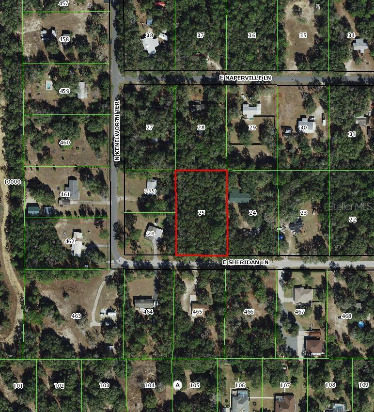 Photo of 1593 E Sheridan Lane, Hernando, FL 34442 (MLS # TB8547228)