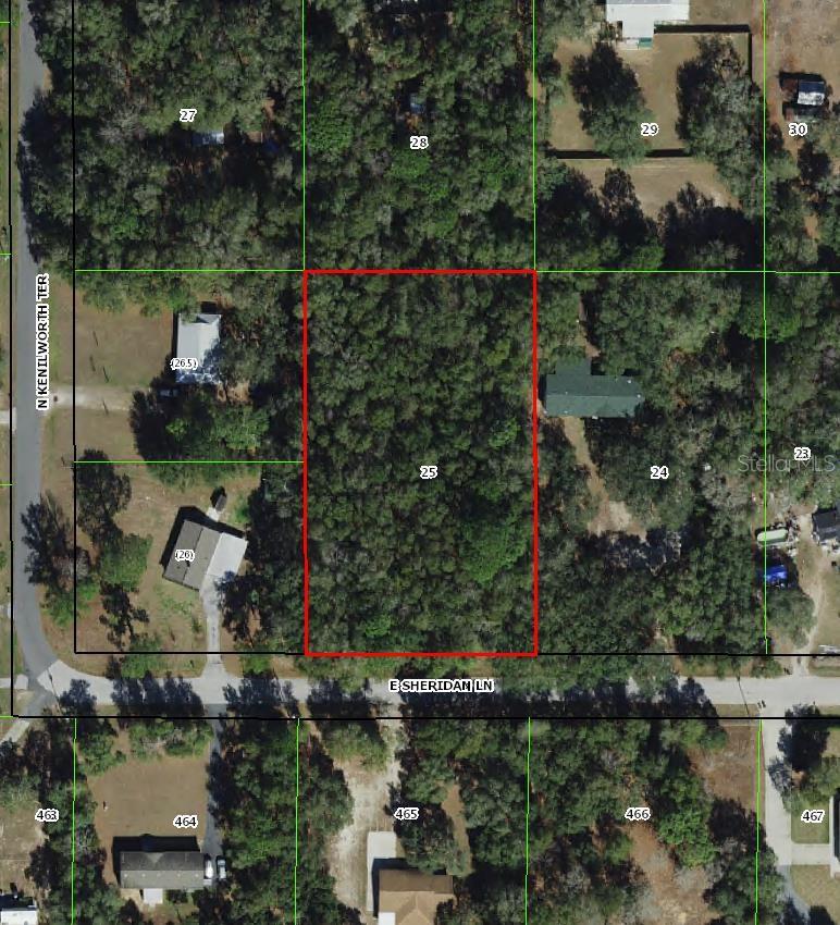Photo of 1593 E Sheridan Lane, Hernando, FL 34442 (MLS # TB8547228)