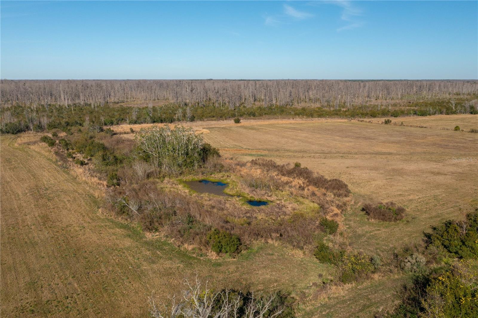 601 DIAMOND ACRES ROAD