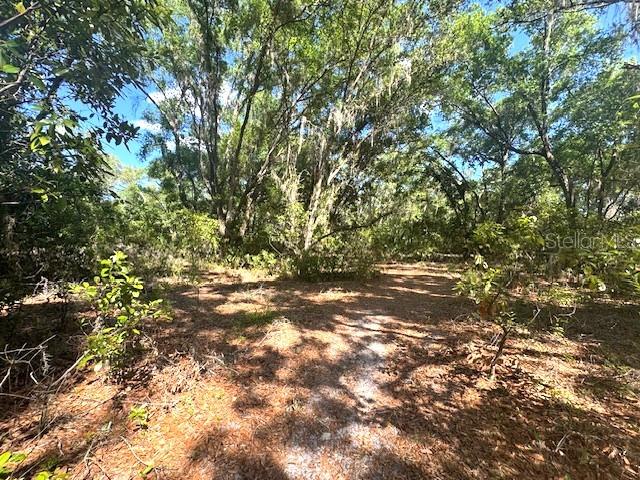 This beautiful 1-acre vacant lot offers an excellent opportunity to build your dream home in the heart of Inverness. It is conveniently located near the Inverness Golf & Country Club and offers access to outdoor activities such as fishing, boating, hiking, and golfing at Withlacoochee State Forest, Fort Cooper State Park, and the Tsala Apopka Chain of Lakes. While the property is in a peaceful setting, it is just minutes away from downtown Inverness, making it easy to reach shopping centers, schools, parks, and healthcare facilities. Don’t miss your chance to own a slice of paradise that combines natural beauty with modern convenience. With plenty of space for gardens or outdoor living, this land is ideal for those seeking tranquility and opportunity. Schedule a visit today and take the first step toward creating your own personal oasis!