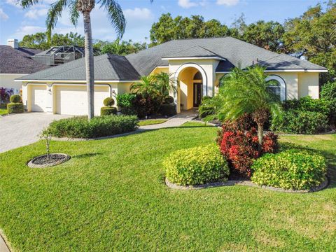 A home in VALRICO