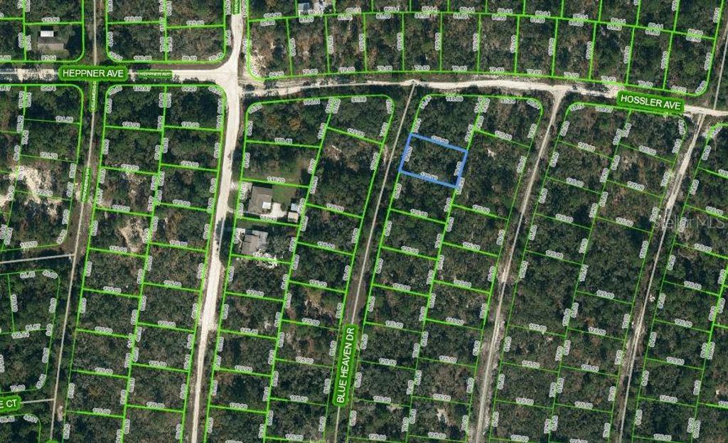 Photo of 325 Blue Heaven Drive, Lake Placid, FL 33852 (MLS # OM621150)