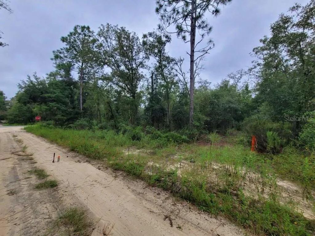 Photo of Tbd NE 120th Street, Bronson, FL 32621 (MLS # GC538606)