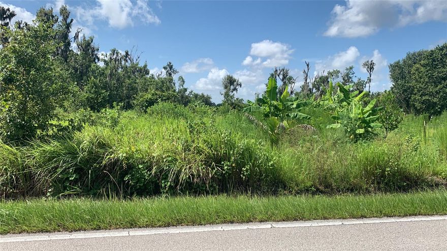 ATTENTION DEVELOPERS, INVESTORS, BUILDERS! Rare opportunity to own 6.15 acres of prime land in a developing area of Bartow, Florida. This property is partially planted with a variety of mature tropical fruit trees, including mango, soursop, star apple, red jackfruit, cavendish bananas, bamboo shoots, sapodilla, Keffir lime, and many other fruit-bearing trees. The owner had plans to establish a tropical fruit garden and develop an agritourism destination for visitors, but due to family priorities, had to put the project on hold. This is an excellent opportunity for investors looking for great potential returns, given the unique character of the property and its strategic location. It’s really a great time to buy a great lot in a great growing area... come, see and buy it today before the price goes up.
