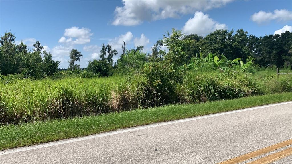 Photo of 0 Sink Hole Road, Bartow, FL 33830 (MLS # TB8408113)