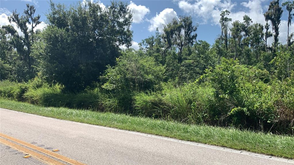 Photo of 0 Sink Hole Road, Bartow, FL 33830 (MLS # TB8408113)