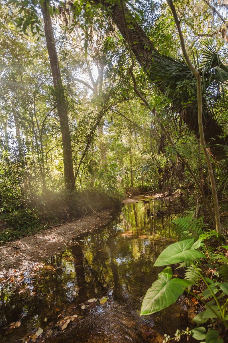 N/A - Residential Lease