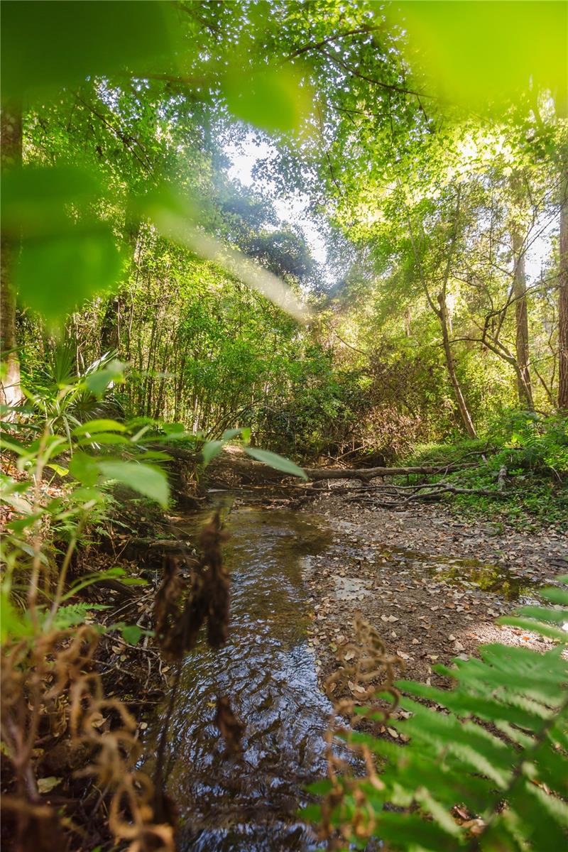 N/A - Residential Lease