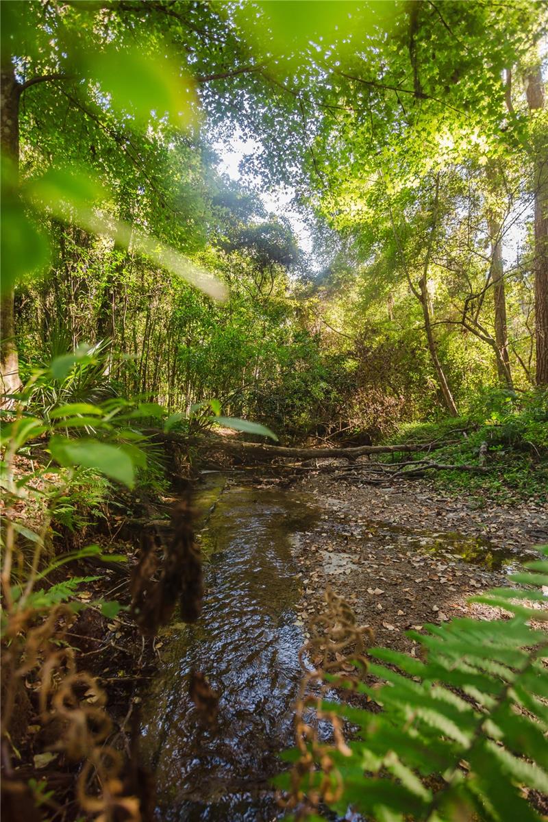 N/A - Residential Lease