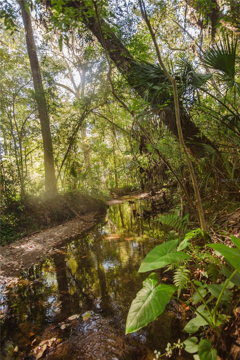 N/A - Residential Lease