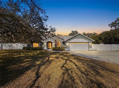 Photo of 12923 Oak Nut Street, Hudson, FL 34667 (MLS # W7882743)