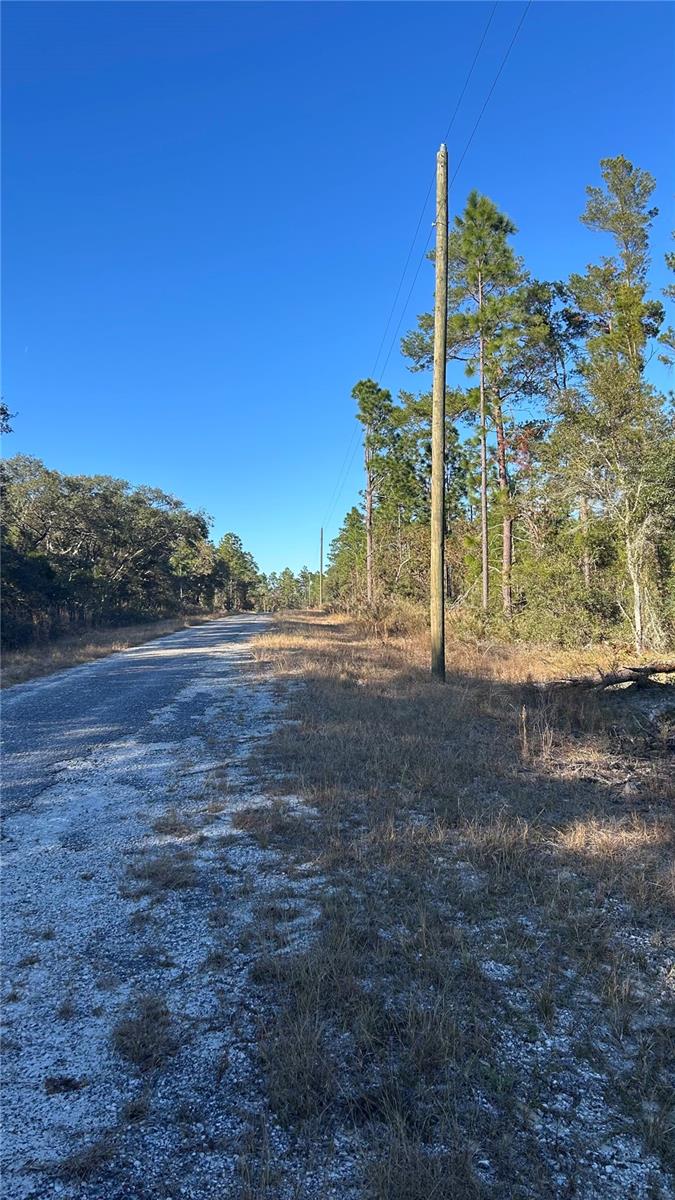 Rural 1/4 acre lot just available for purchase in the Levy County side of Rainbow Lakes. There are a few new builds going in around the area and there is electric run on this road. Buy to build or buy and hold. Possible owner financing available! Seller had purchased this lot through a Marion County tax deed sale. This part of the title insurance cannot be insured per title company.