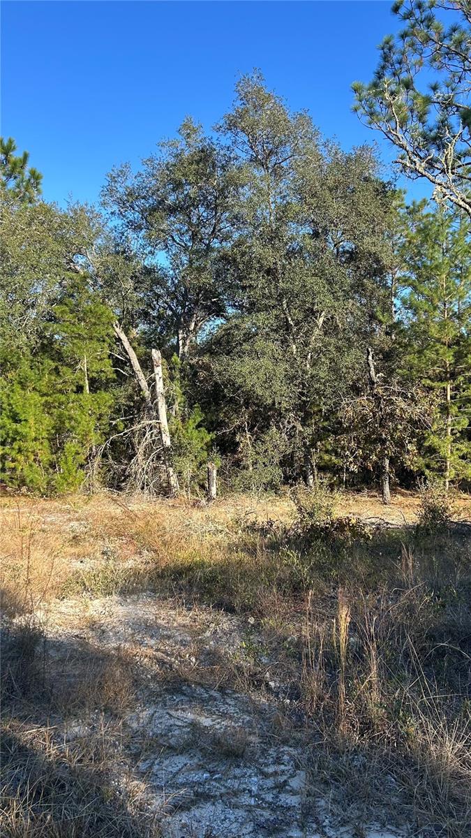 RAINBOW LAKES ESTATE - Land