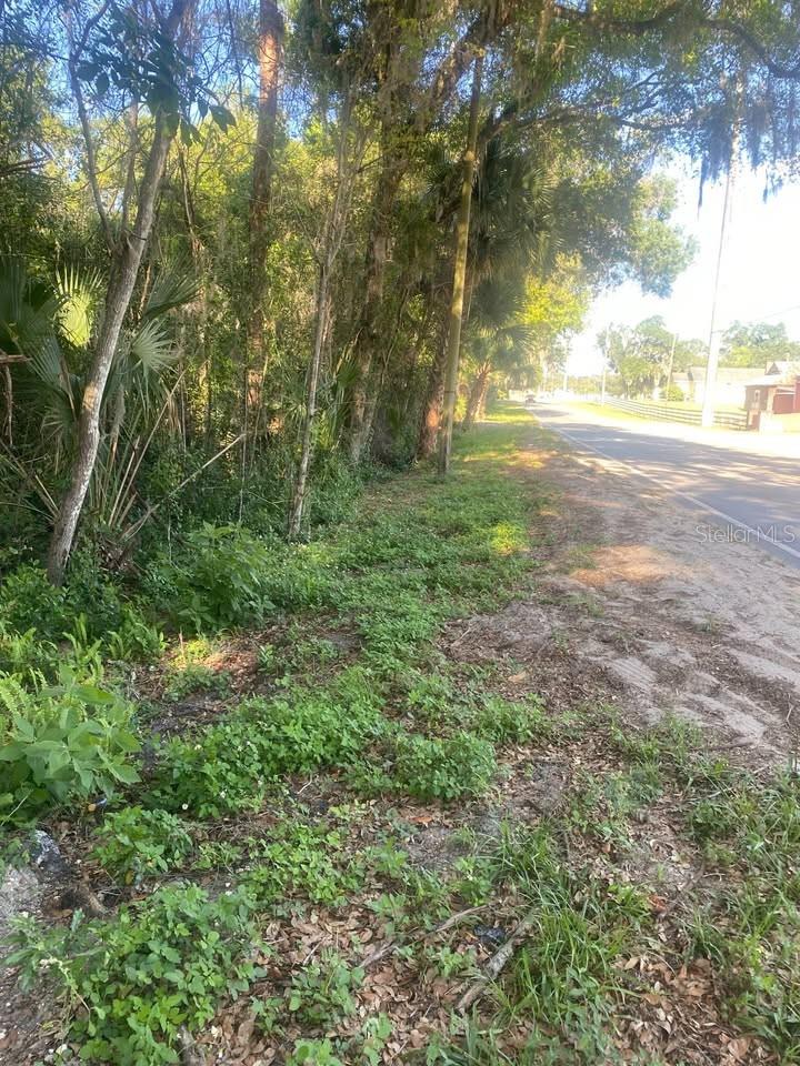 SPRING GARDEN RANCH