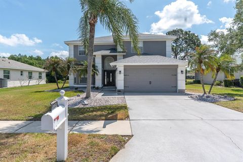 Photo of 2487 Saddlewood Lane, Palm Harbor, FL 34685 (MLS # W7884593)