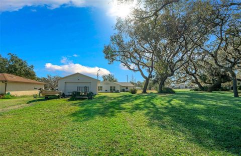 A home in FRUITLAND PARK