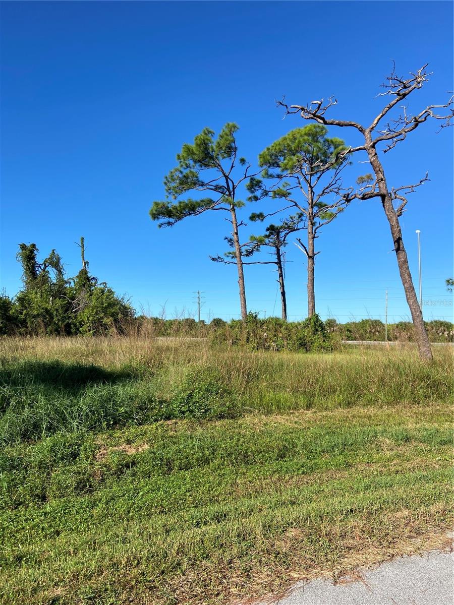 ROTONDA HEIGHTS - Land