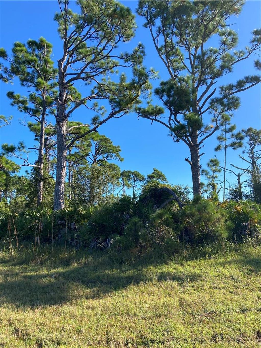 Photo of 110 French Court, Rotonda West, FL 33947 (MLS # C7516169)