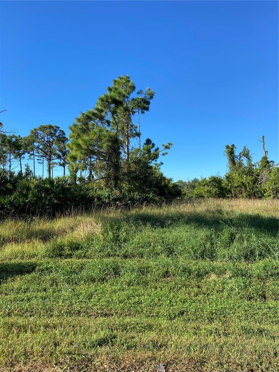 ROTONDA HEIGHTS - Land