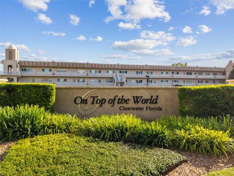 2331 FINLANDIA LANE 43 CLEARWATER FL 33763