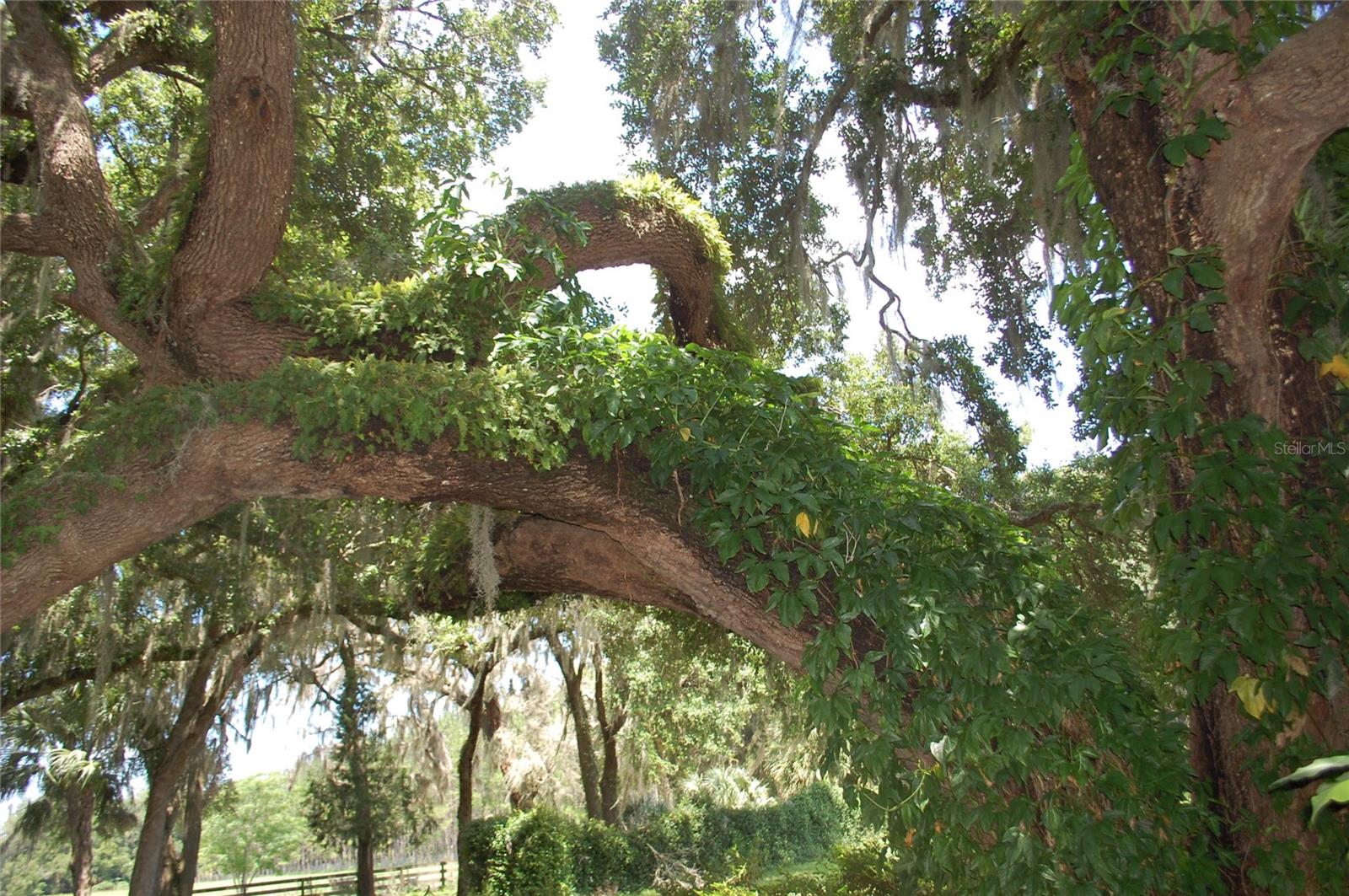 LOCHLOSSA FARMS - Residential